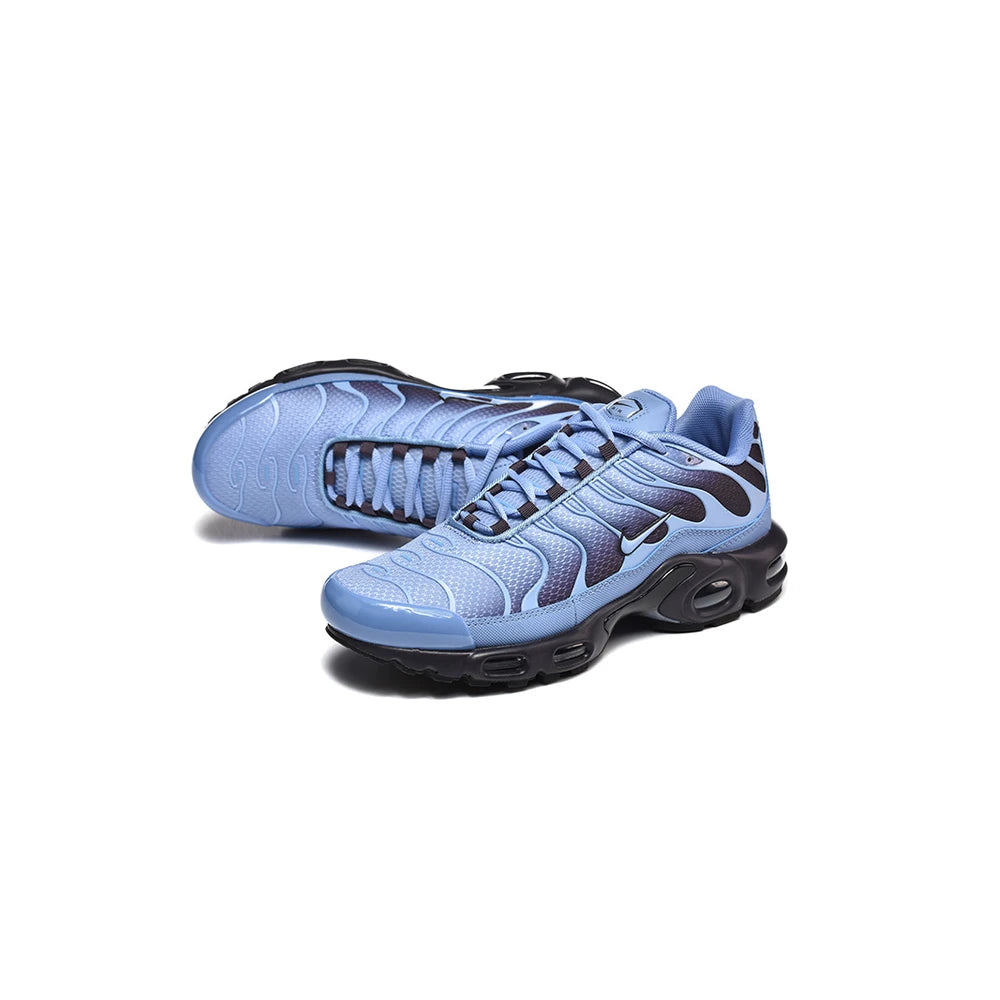 Nike Air Max Plus TN World Indigo 2