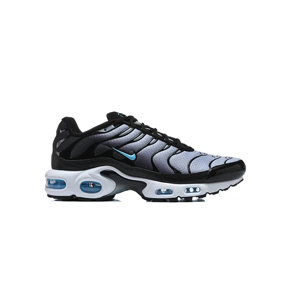 Nike Air Max Plus TN Black Ice 1
