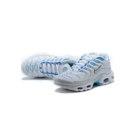 Nike Air Max Plus TN Blue Fury