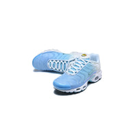 Nike Air Max Plus TN Blue White