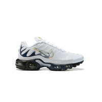 Nike Air Max Plus TN Layered Swoosh