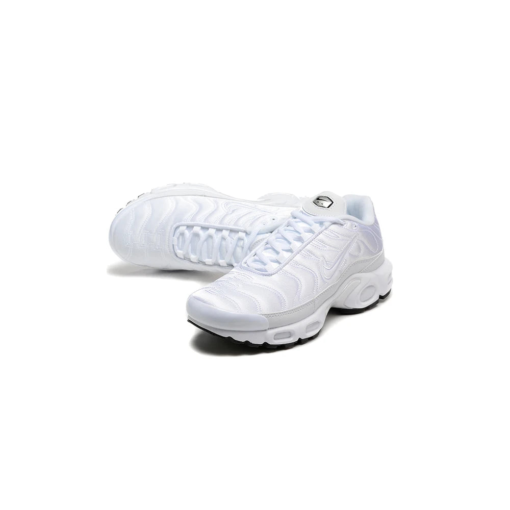 Nike Air Max Plus TN Platinum Tint 2