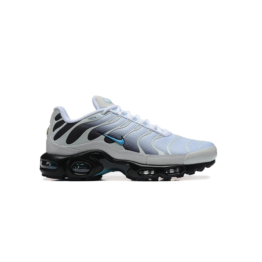 Nike Air Max Plus TN Pure Platinum Dark Smoke 1