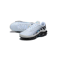 Nike Air Max Plus TN Pure Platinum Dark Smoke