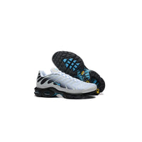 Nike Air Max Plus TN Pure Platinum Dark Smoke