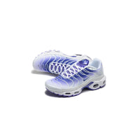 Nike Air Max Plus TN Purple Dragon