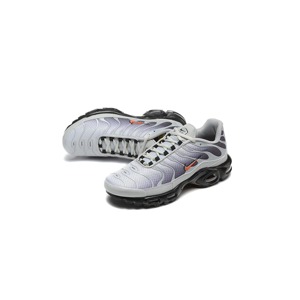 Nike Air Max Plus TN Wolf Grey 2