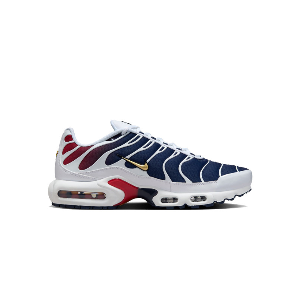 Nike Air Max TN PSG