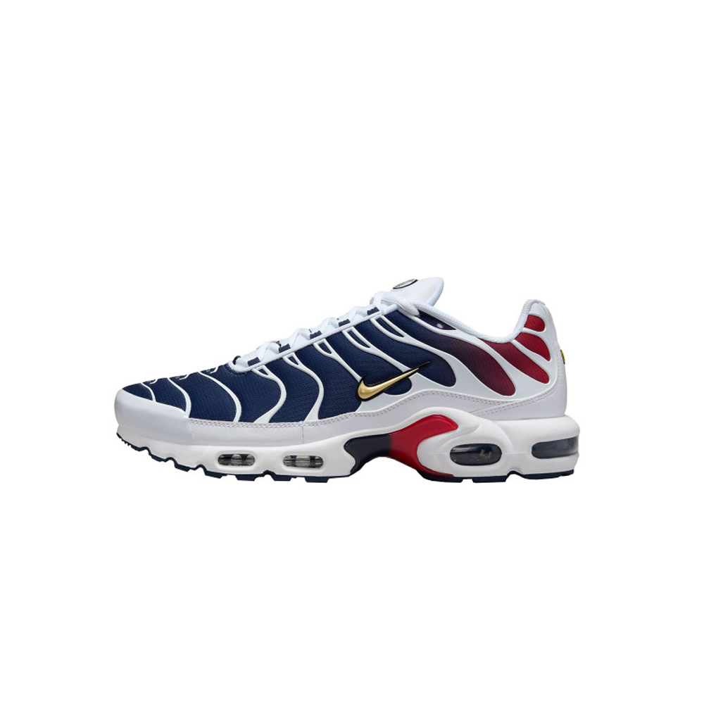 Nike Air Max TN PSG