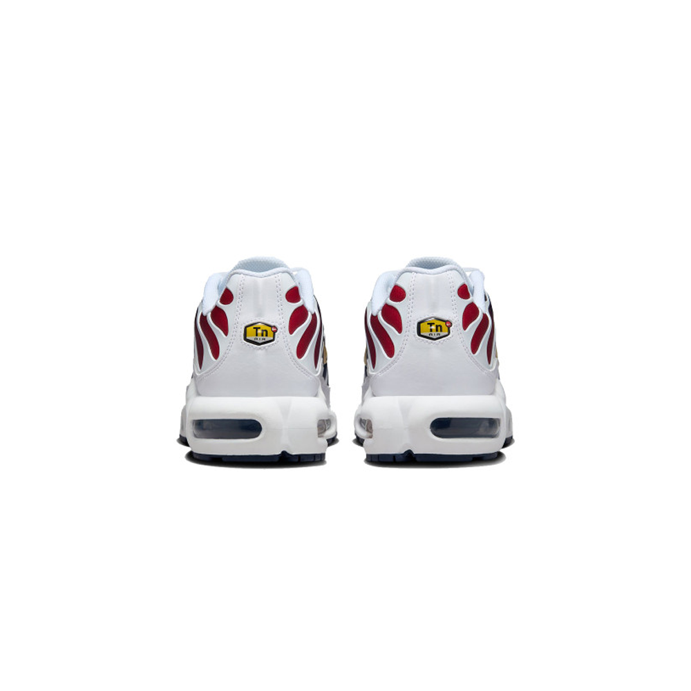 Nike Air Max Plus TN PSG 4