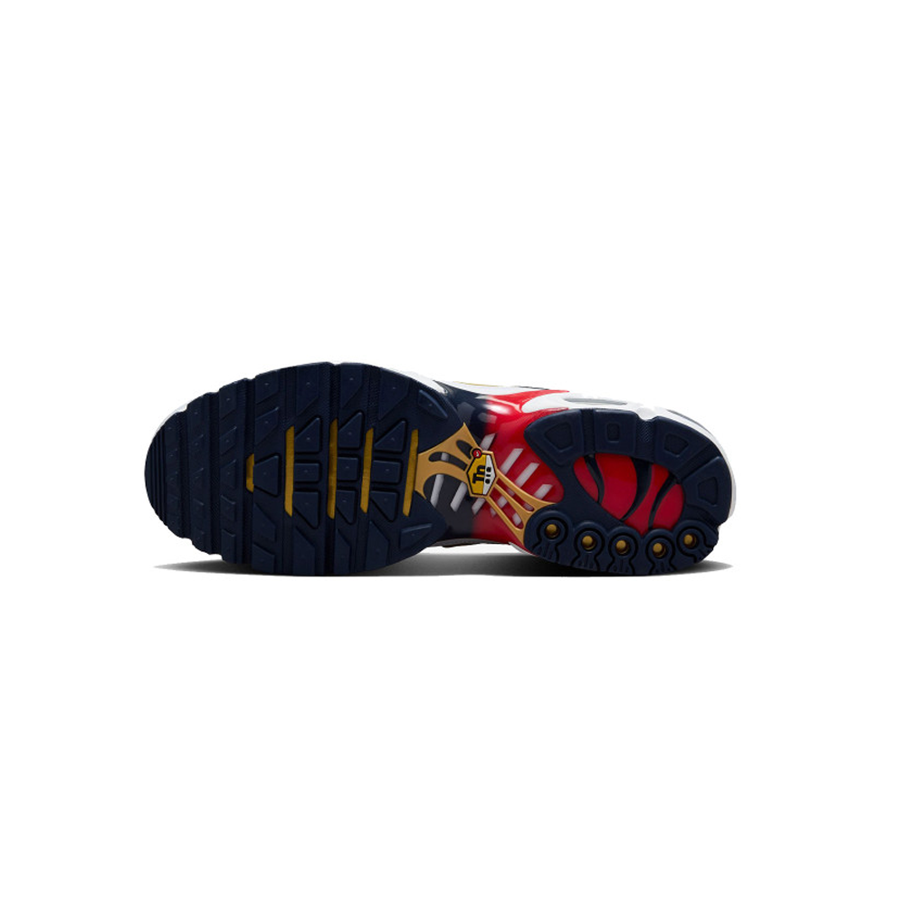 Nike Air Max Plus TN PSG 5